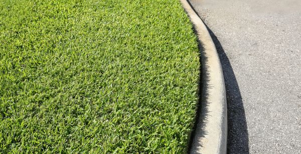 Cost of Street Curb Repair in Windsor