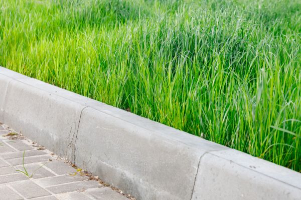 Cost of Concrete Curb Repair in Windsor