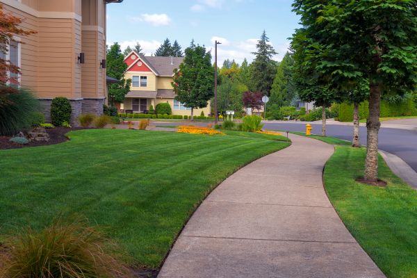Cost of Sidewalk Patching in Windsor