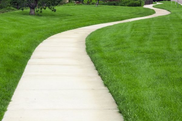 Cracked Sidewalk Repair in Windsor